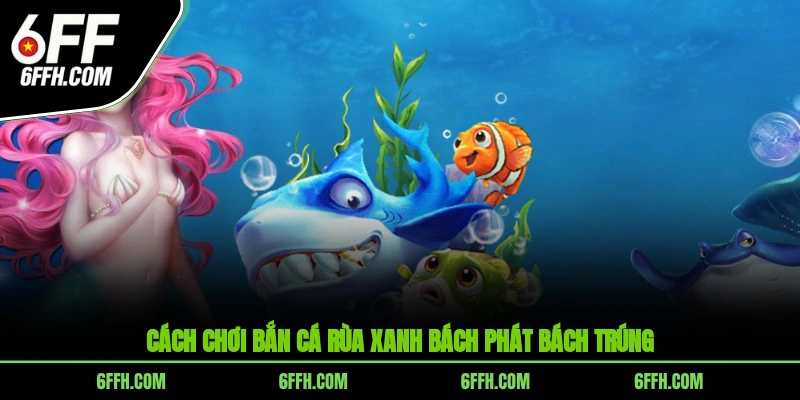 Cách chơi bắn cá rùa xanh bách phát bách trúng