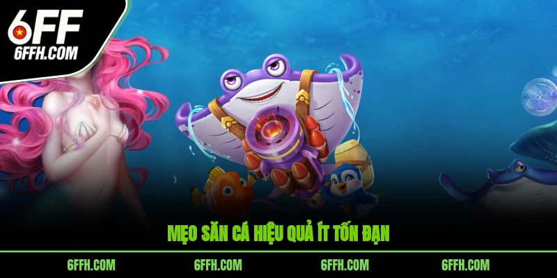 Mẹo săn cá hiệu quả ít tốn đạn